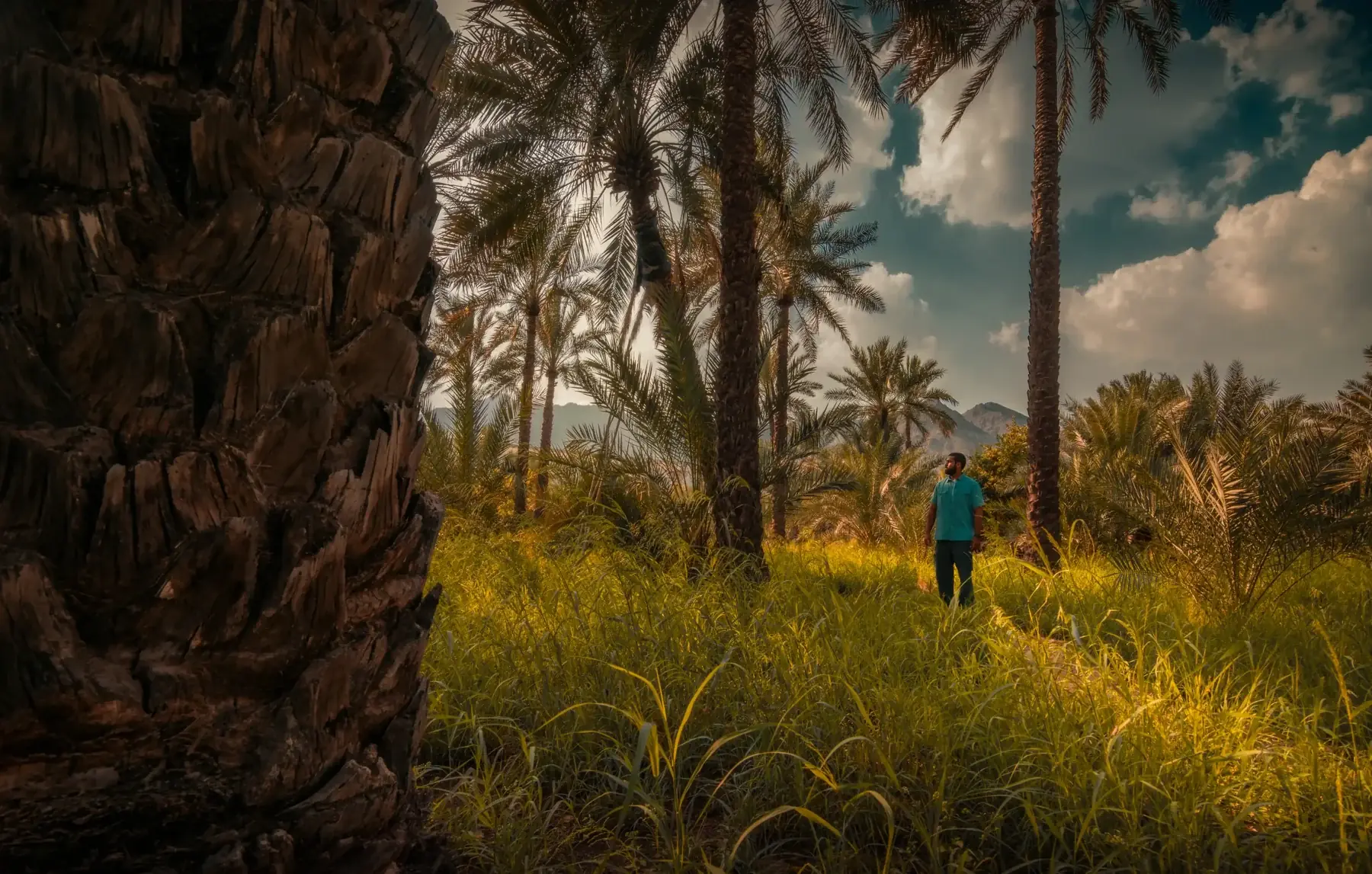 Fujairah Adventures landscape